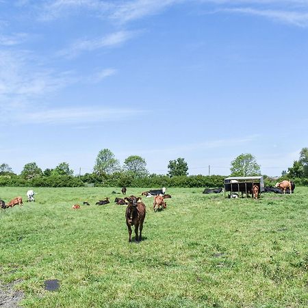 Green Acre Farm イーリー エクステリア 写真