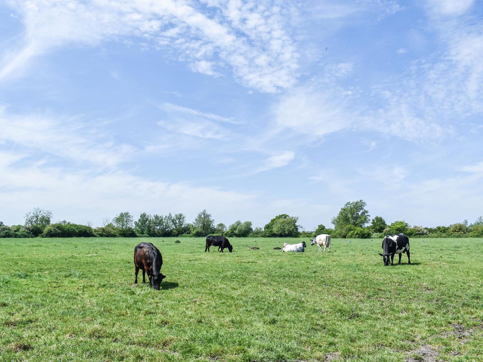 Green Acre Farm イーリー エクステリア 写真
