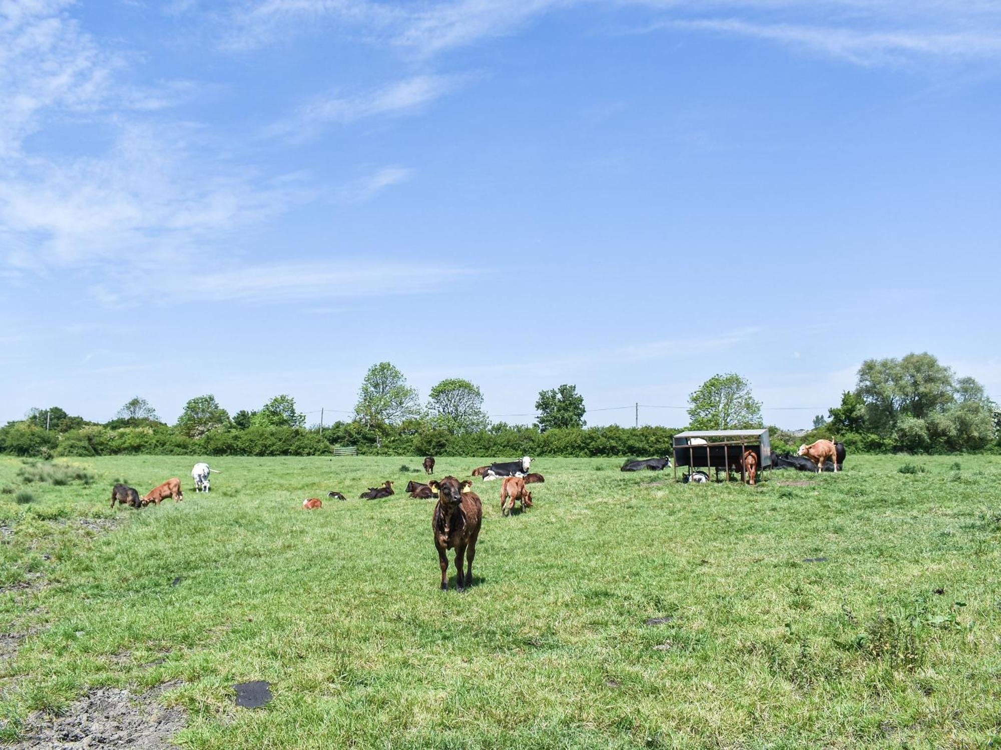Green Acre Farm イーリー エクステリア 写真
